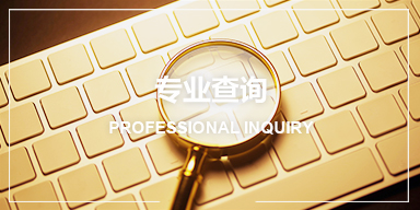 专业查询